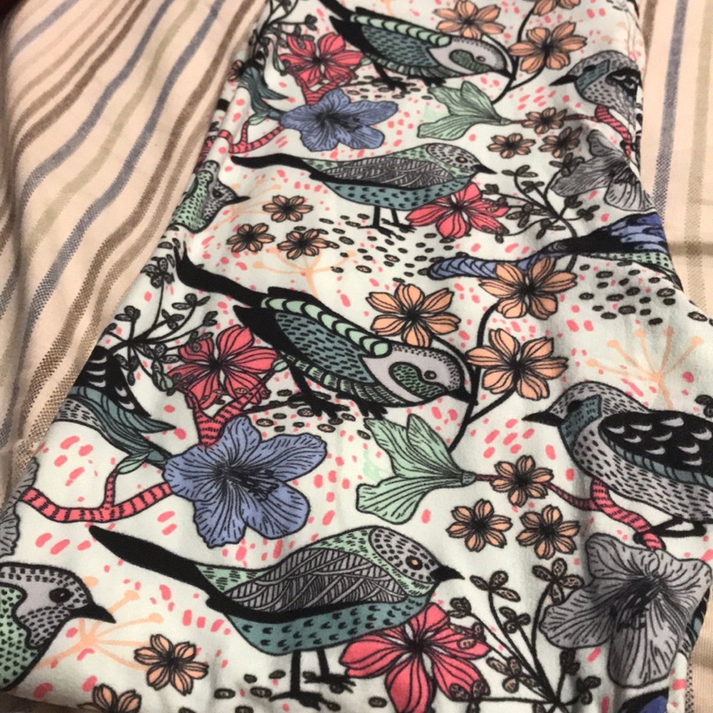 Lularoe tall and curvy leggings